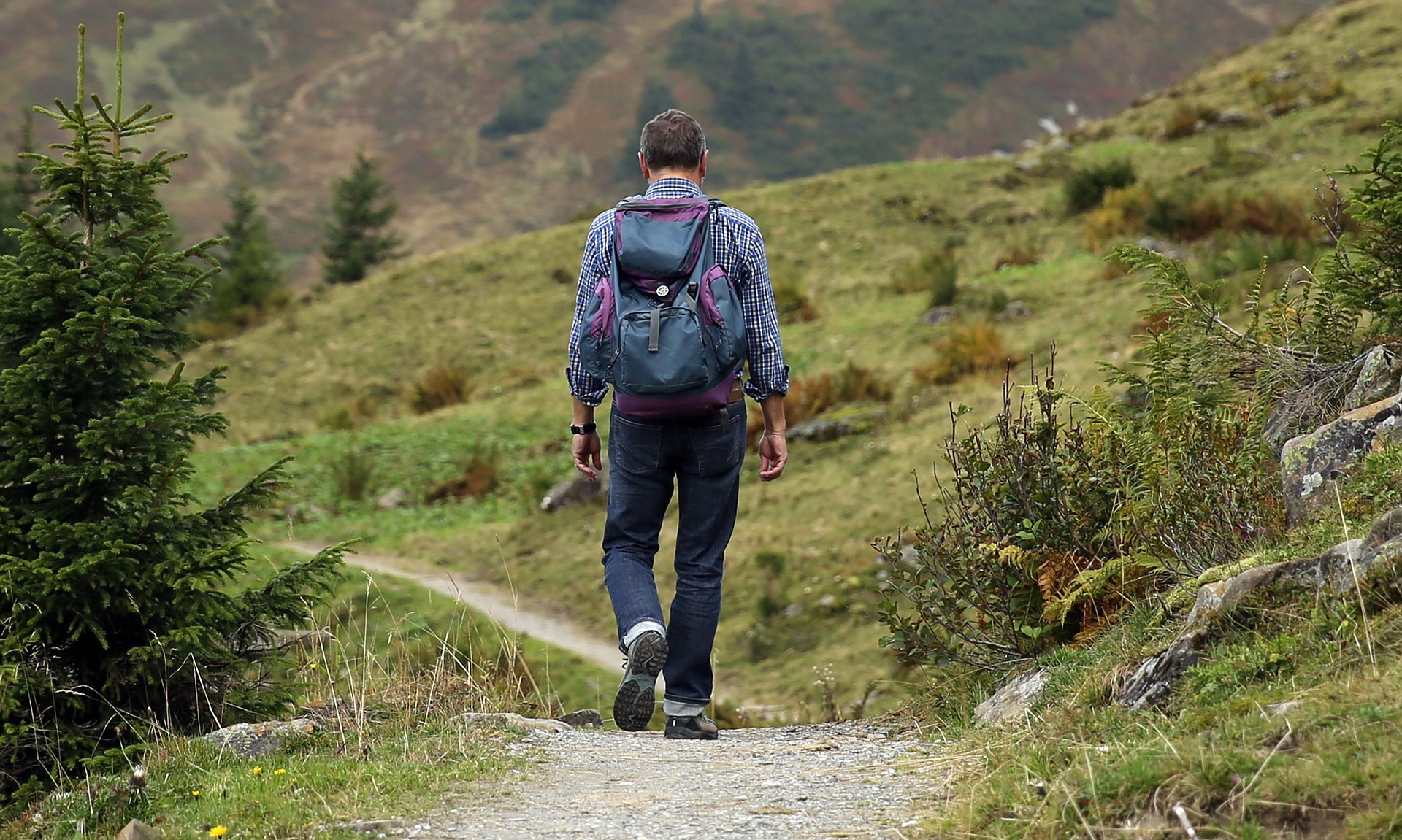 Walker in mountains